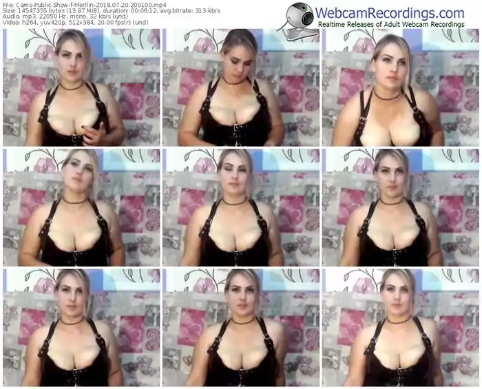 cams-merllin-webcam-show-07_20_2018-20_01_00