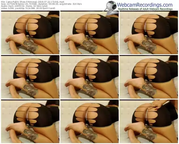 cams-mimosa1-webcam-show-07_22_2018-17_16_41