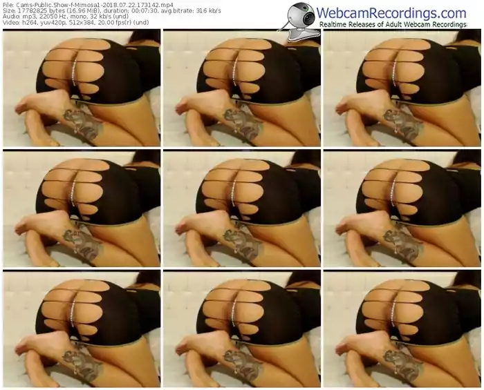 cams-mimosa1-webcam-show-07_22_2018-17_31_42