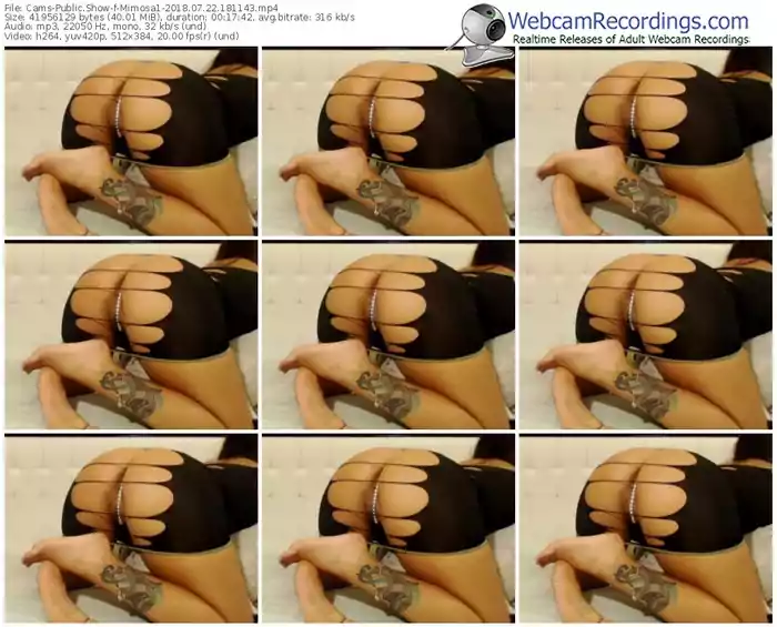 cams-mimosa1-webcam-show-07_22_2018-18_11_43