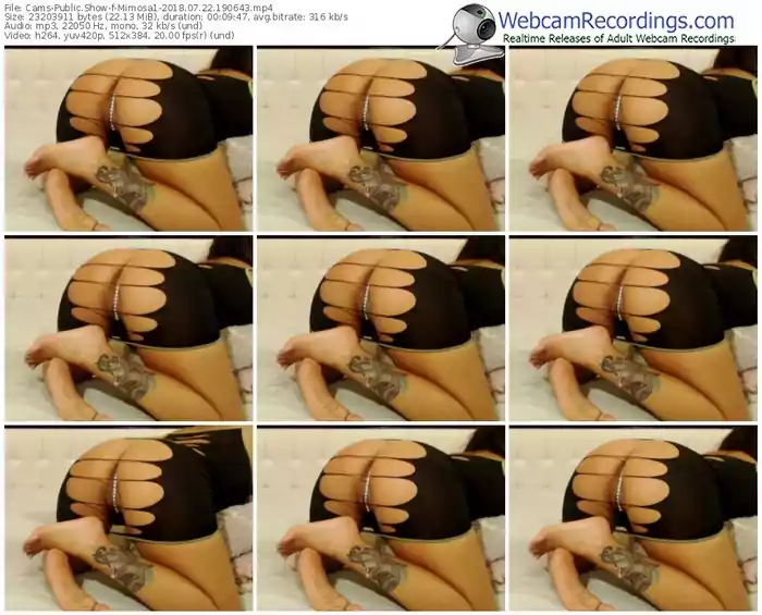 cams-mimosa1-webcam-show-07_22_2018-19_06_43