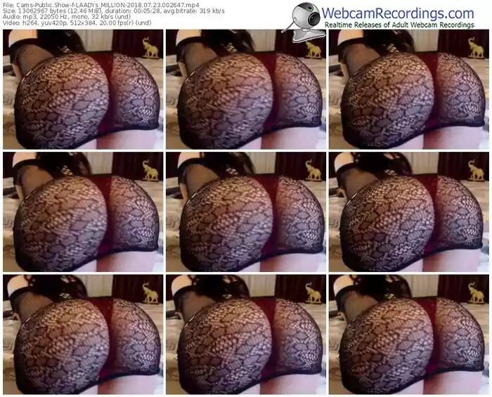 cams-laadys_million-webcam-show-07_23_2018-00_26_47