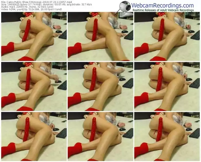 cams-mimosa1-webcam-show-07_23_2018-11_36_57