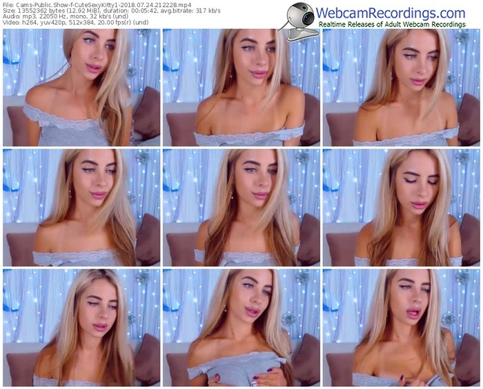 cams-cutesexykitty1-webcam-show-07_24_2018-21_22_28