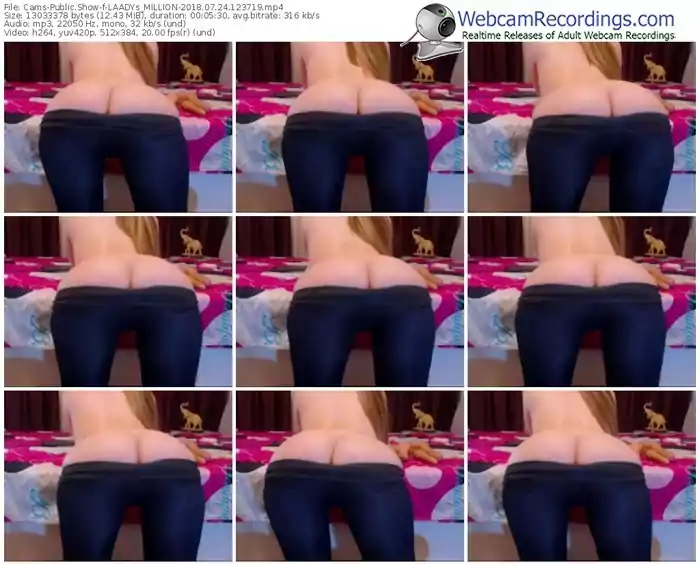 cams-laadys_million-webcam-show-07_24_2018-12_37_19