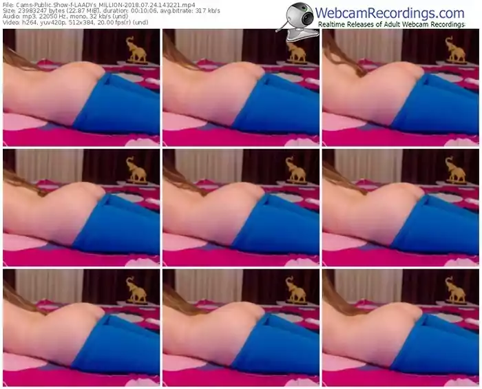 cams-laadys_million-webcam-show-07_24_2018-14_32_21