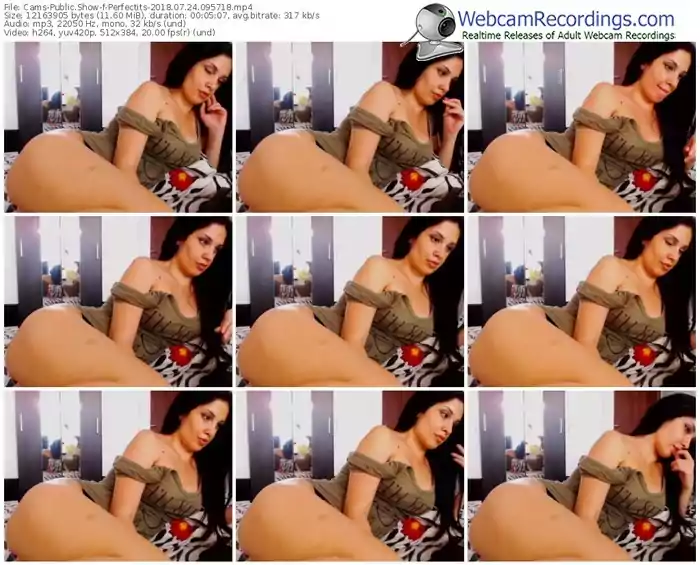 cams-perfectits-webcam-show-07_24_2018-09_57_18