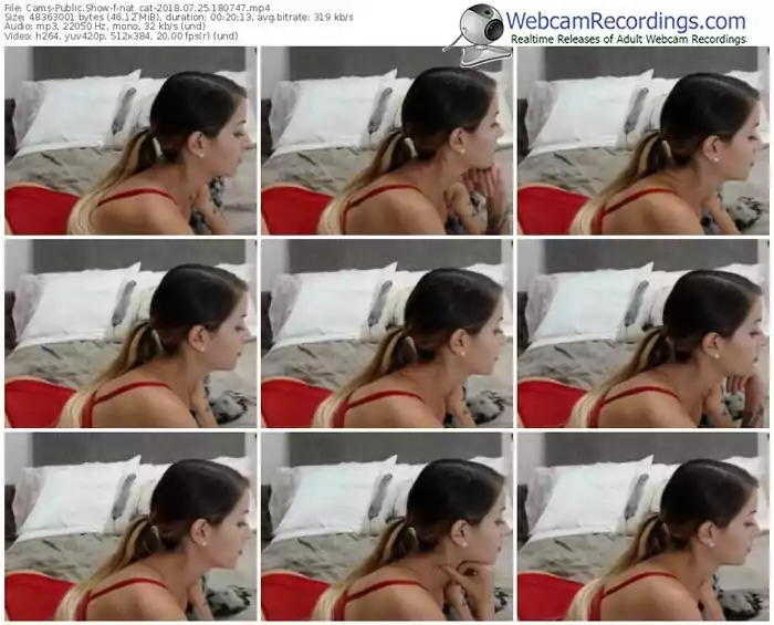 cams-nat_cat-webcam-show-07_25_2018-18_07_47