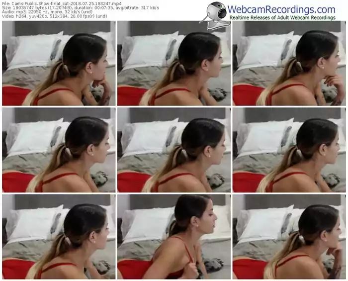 cams-nat_cat-webcam-show-07_25_2018-18_32_47