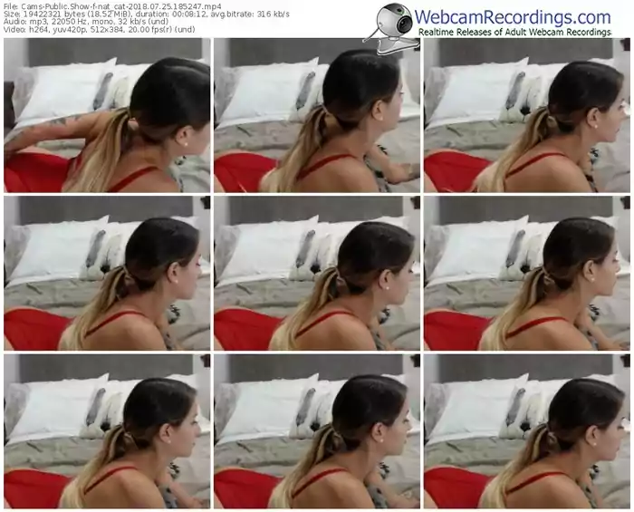 cams-nat_cat-webcam-show-07_25_2018-18_52_47