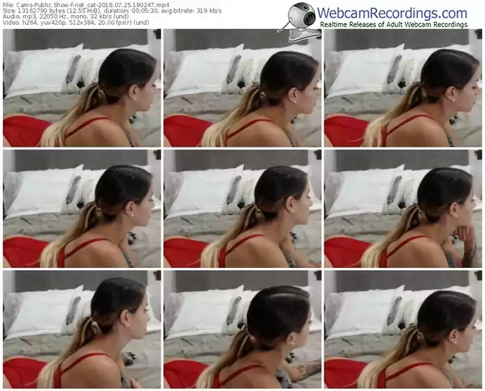 cams-nat_cat-webcam-show-07_25_2018-19_02_47