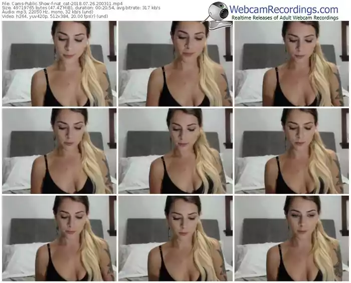 cams-nat_cat-webcam-show-07_26_2018-20_03_11