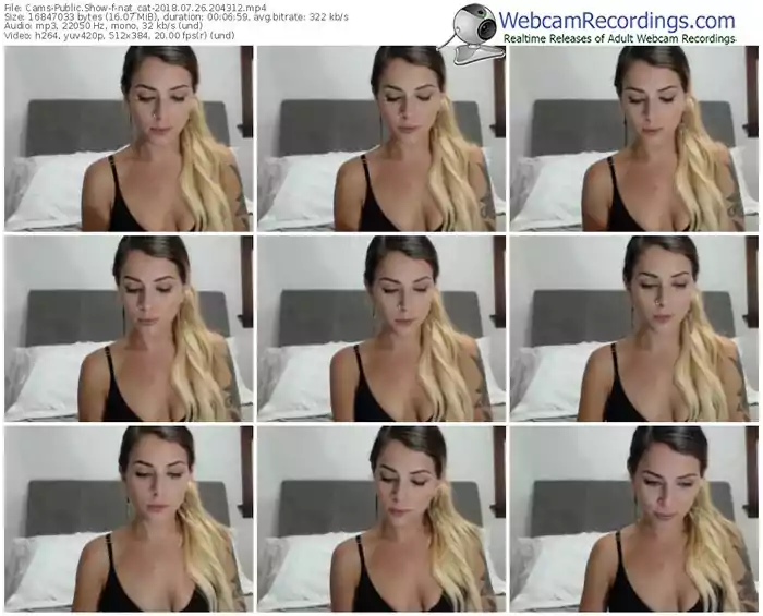 cams-nat_cat-webcam-show-07_26_2018-20_43_12