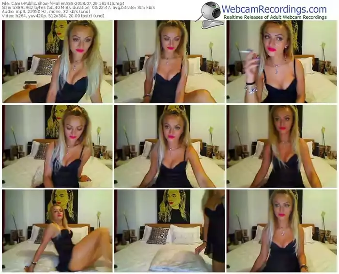 cams-mallenass-webcam-show-07_29_2018-19_14_16