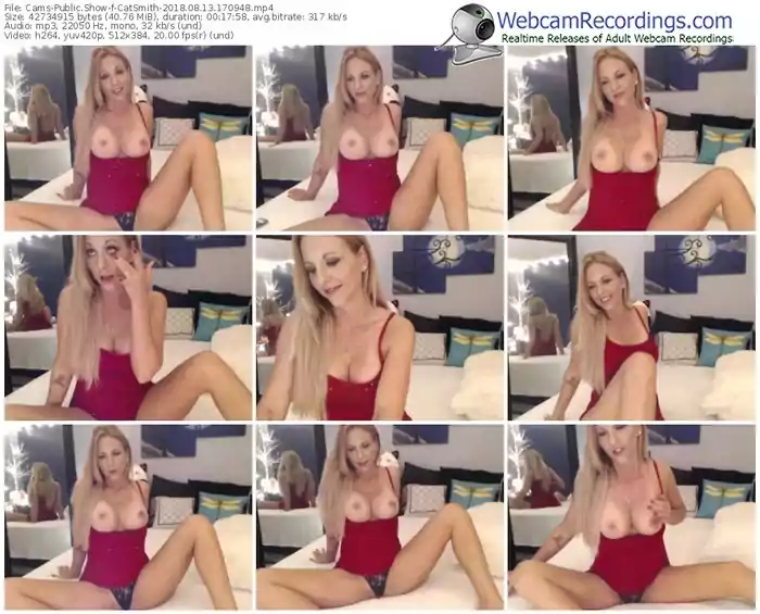 cams-catsmith-webcam-show-08_13_2018-17_09_48