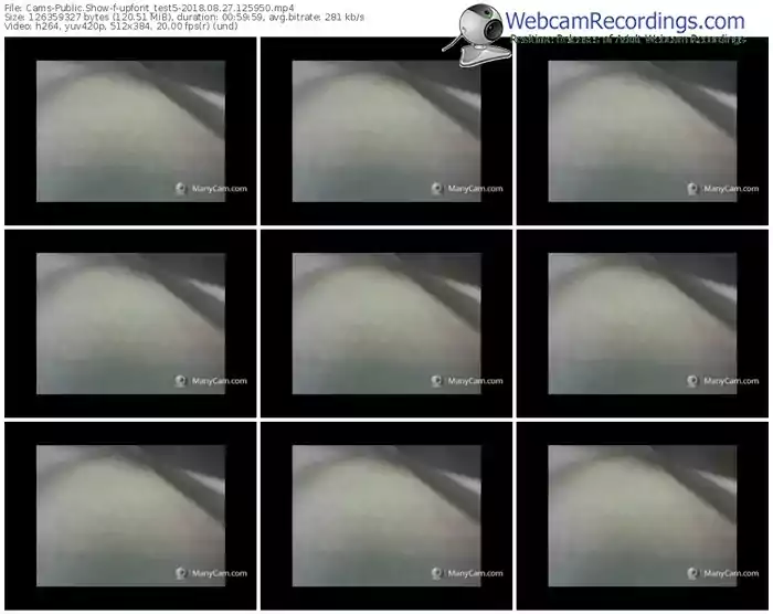 cams-upforit_test5-webcam-show-08_27_2018-12_59_50