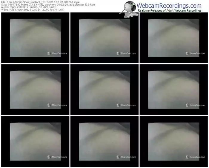 cams-upforit_test5-webcam-show-08_28_2018-08_00_07