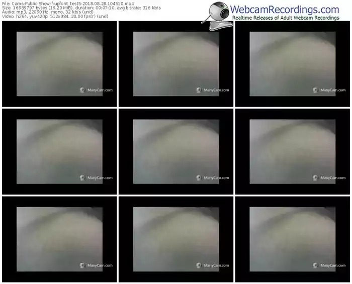 cams-upforit_test5-webcam-show-08_28_2018-10_45_10