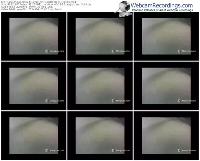 cams-upforit_test5-webcam-show-08_28_2018-11_00_09