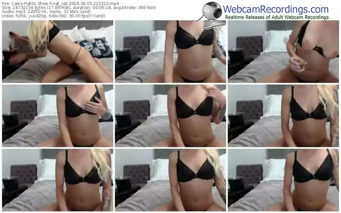 cams-nat_cat-webcam-show-09_05_2018-21_23_13