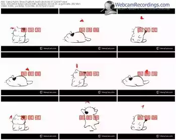 cams-upforit_test5-webcam-show-09_07_2018-12_03_47