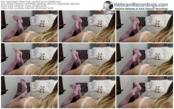 cams-nat_cat-webcam-show-10_05_2018-16_29_05