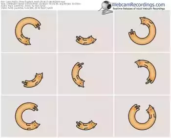 cams-upforit_test5-webcam-show-10_08_2018-06_20_00