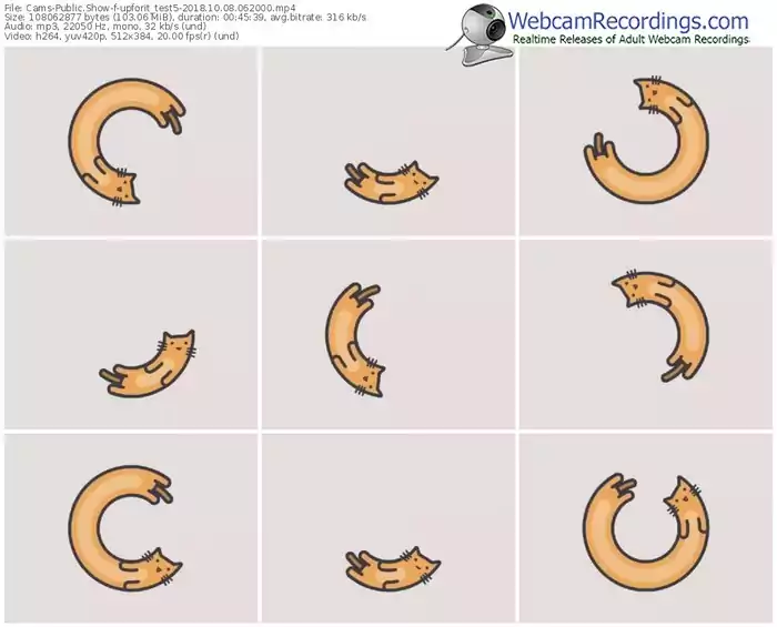 cams-upforit_test5-webcam-show-10_08_2018-06_20_00