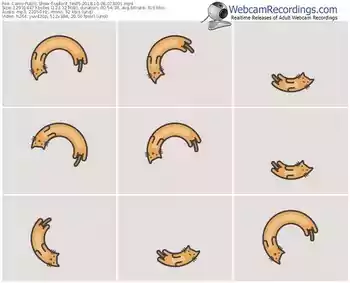 cams-upforit_test5-webcam-show-10_08_2018-07_30_01