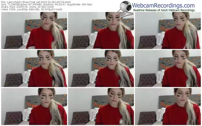 cams-nat_cat-webcam-show-10_28_2018-14_57_23