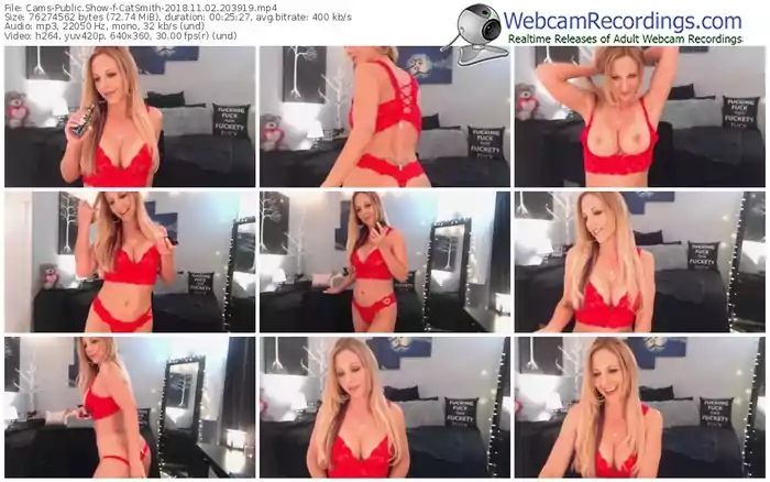 cams-catsmith-webcam-show-11_02_2018-20_39_19