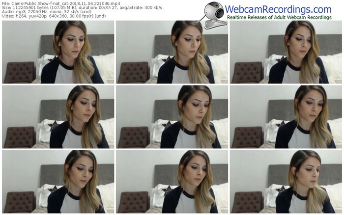 cams-nat_cat-webcam-show-11_06_2018-22_10_46