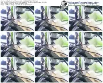 cams-exotic_eek-webcam-show-11_07_2018-12_10_59