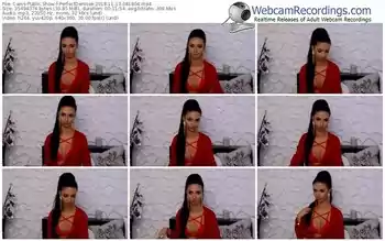 cams-perfectdenisse-webcam-show-11_13_2018-08_18_04