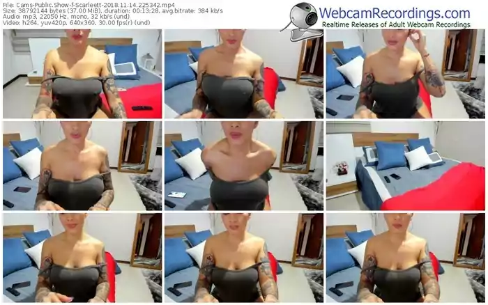 cams-scarleett-webcam-show-11_14_2018-22_53_42