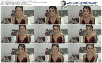 cams-nat_cat-webcam-show-11_14_2018-20_18_38