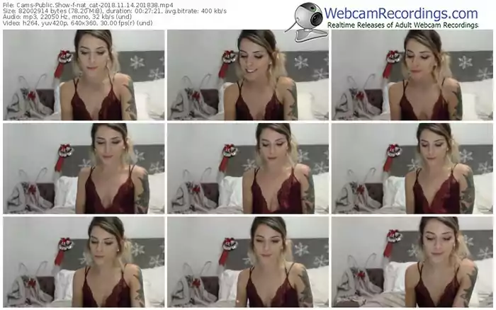 cams-nat_cat-webcam-show-11_14_2018-20_18_38