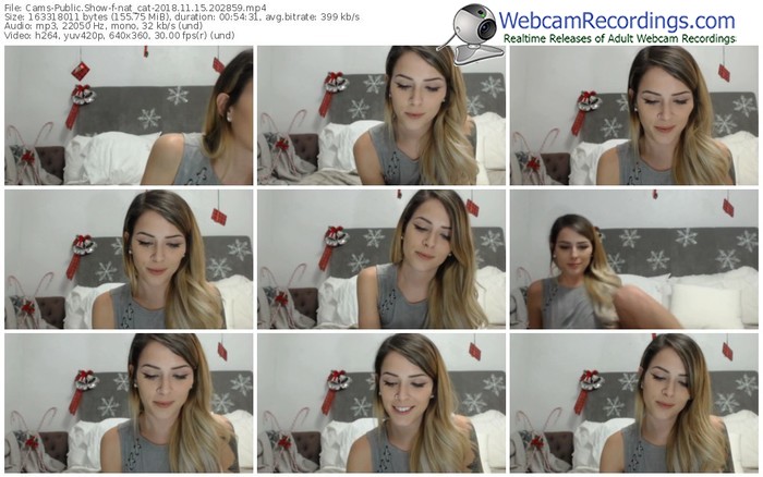 cams-nat_cat-webcam-show-11_15_2018-20_28_59