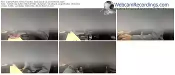 cams-exotic_eek-webcam-show-11_16_2018-06_44_04