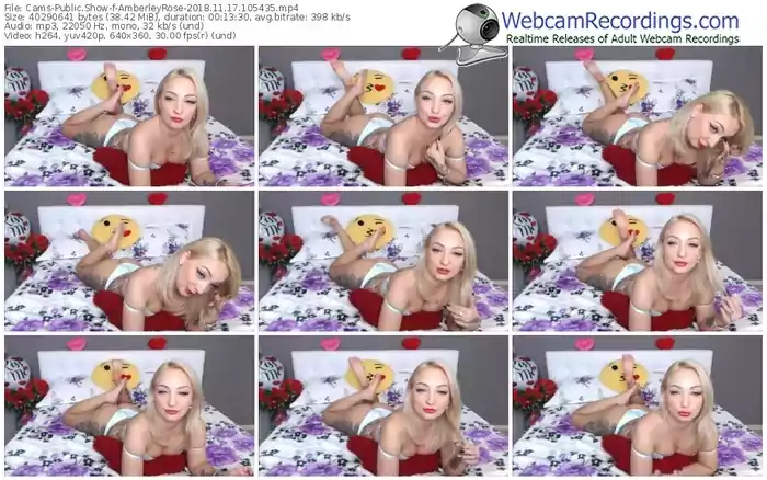 cams-amberleyrose-webcam-show-11_17_2018-10_54_35
