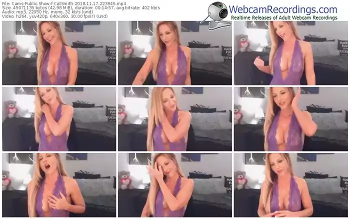 cams-catsmith-webcam-show-11_17_2018-22_39_45