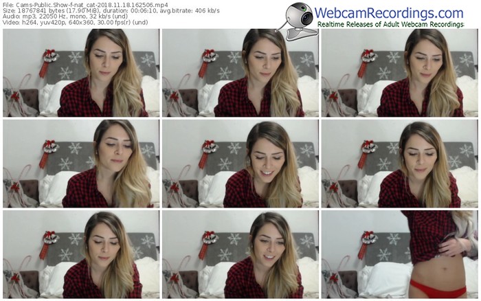 cams-nat_cat-webcam-show-11_18_2018-16_25_06