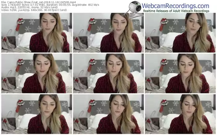 cams-nat_cat-webcam-show-11_18_2018-19_25_06