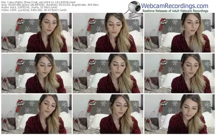 cams-nat_cat-webcam-show-11_18_2018-19_35_06