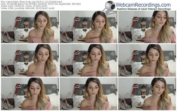 cams-nat_cat-webcam-show-11_22_2018-21_06_44