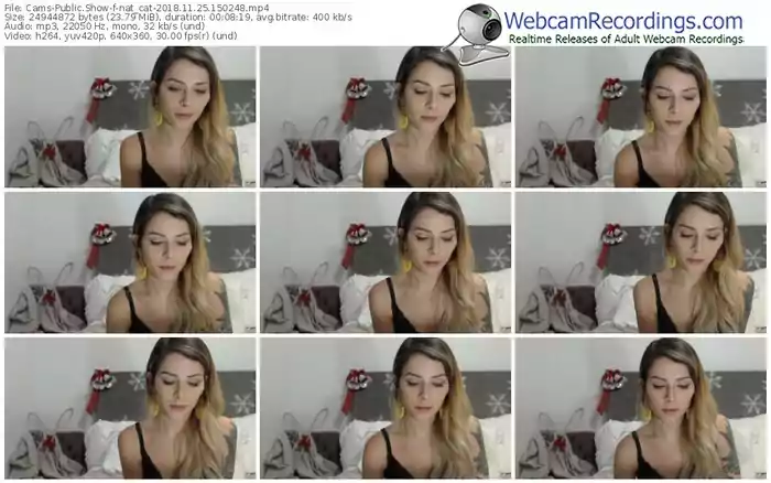 cams-nat_cat-webcam-show-11_25_2018-15_02_48