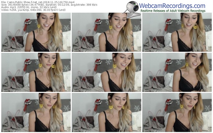 cams-nat_cat-webcam-show-11_25_2018-16_17_50