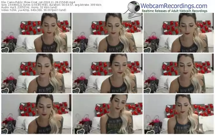 cams-nat_cat-webcam-show-11_28_2018-21_56_40