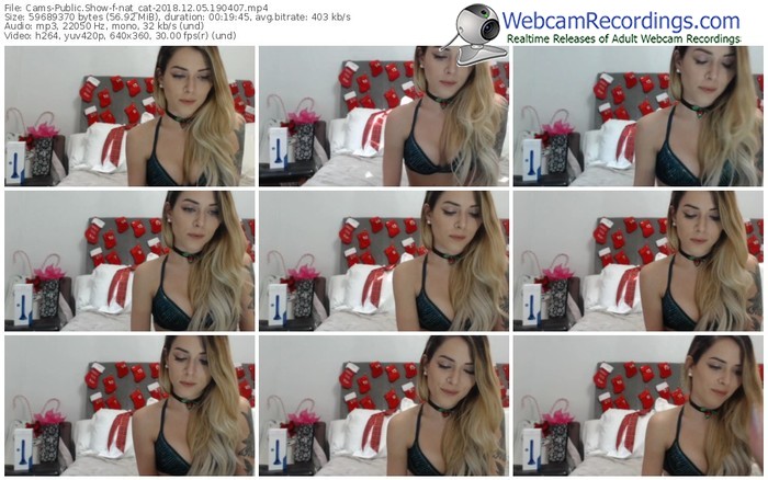 cams-nat_cat-webcam-show-12_05_2018-19_04_07