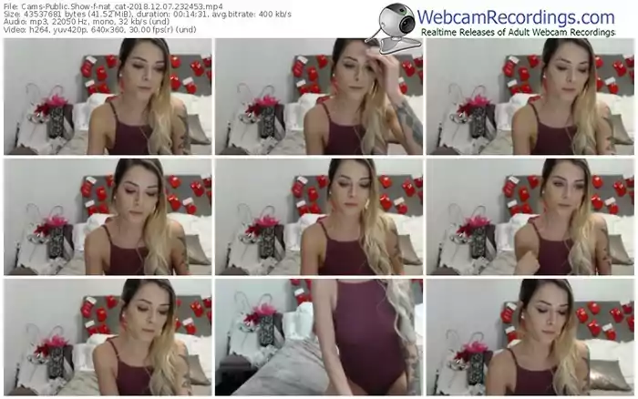 cams-nat_cat-webcam-show-12_07_2018-23_24_53